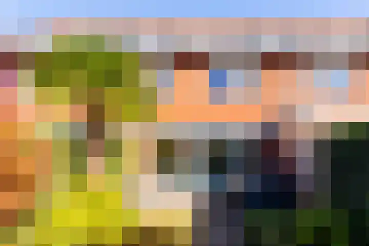 Avondster 32 Elst thumbnail 20