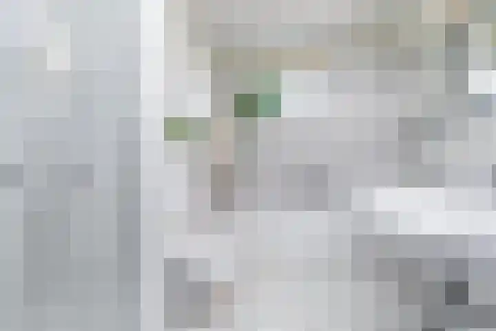 Avondster 32 Elst thumbnail 21