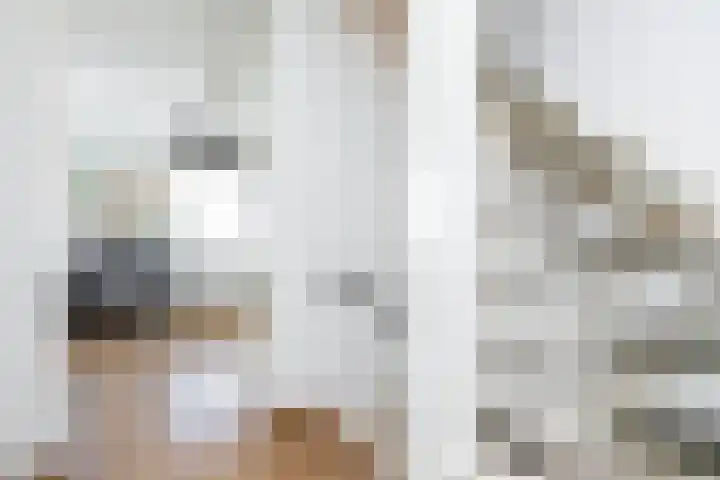 Avondster 32 Elst thumbnail 22