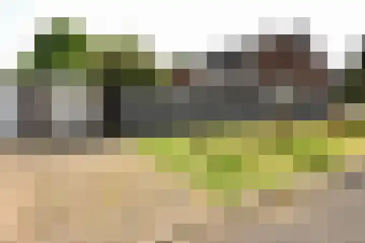 Avondster 32 Elst thumbnail 27