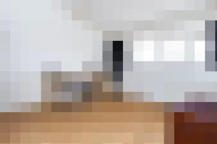 Avondster 32 Elst thumbnail 29