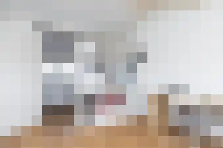 Avondster 32 Elst thumbnail 30