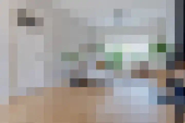 Avondster 32 Elst thumbnail 4