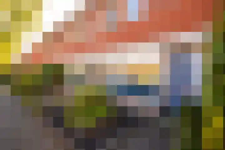 Avondster 32 Elst thumbnail 5