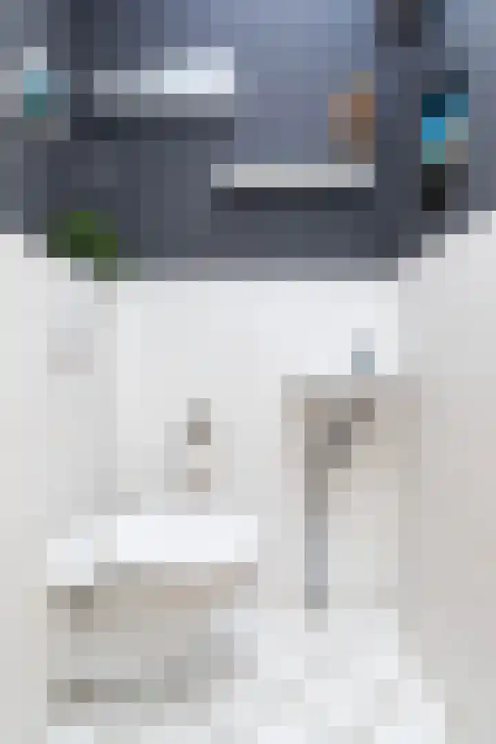 Avondster 32 Elst thumbnail 7