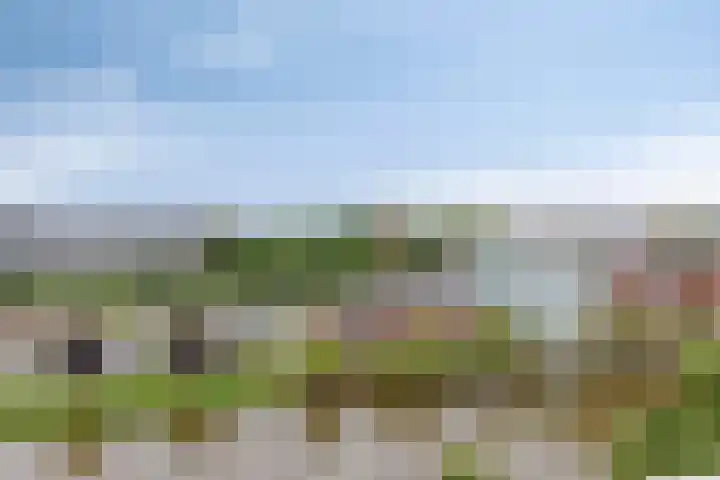 Avondsterlaan 116 Groningen thumbnail 10
