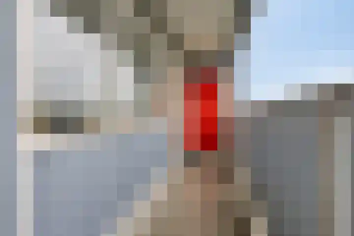 Avondsterlaan 116 Groningen thumbnail 11