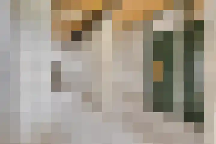 Avondsterlaan 116 Groningen thumbnail 24