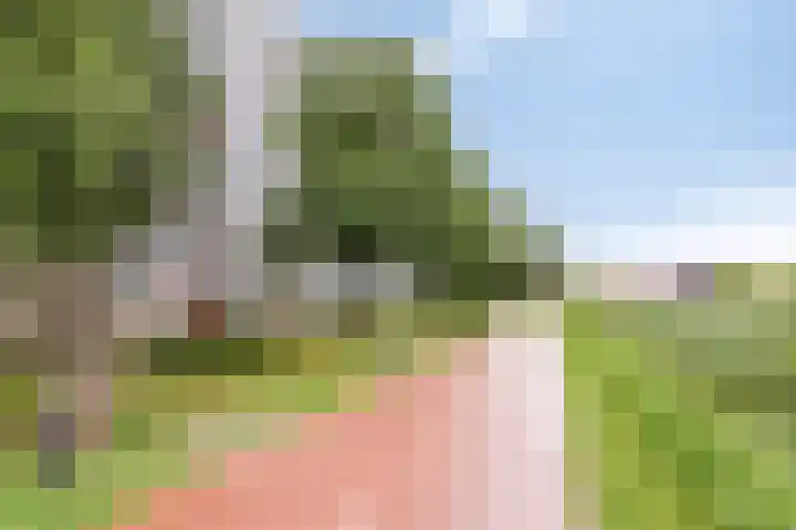 Avondsterlaan 116 Groningen thumbnail 26
