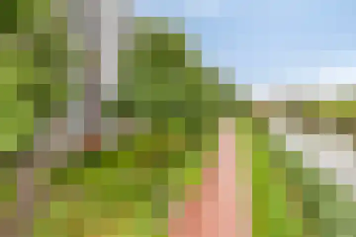 Avondsterlaan 116 Groningen thumbnail 28