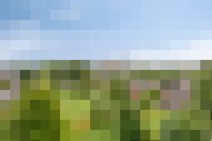 Avondsterlaan 116 Groningen thumbnail 4