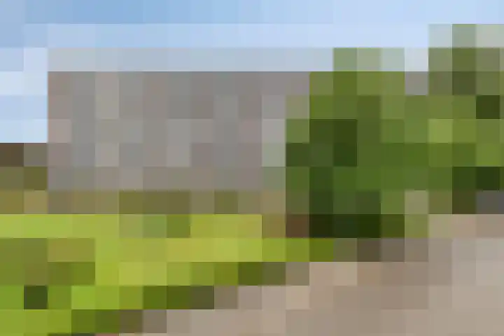 Avondsterlaan 116 Groningen thumbnail 5