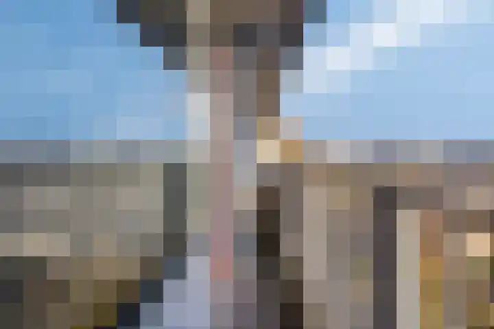 Avondsterlaan 124 Groningen thumbnail 21