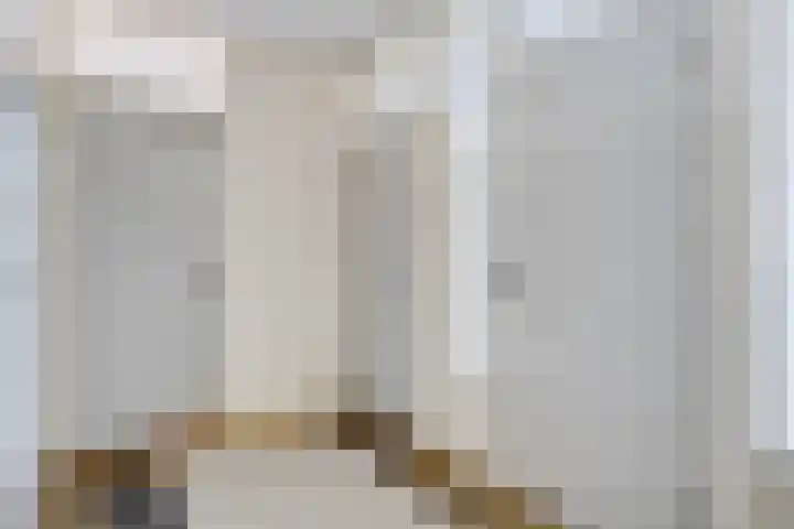 Avondsterlaan 124 Groningen thumbnail 29