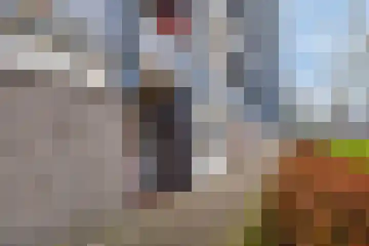 Avondsterlaan 124 Groningen thumbnail 36