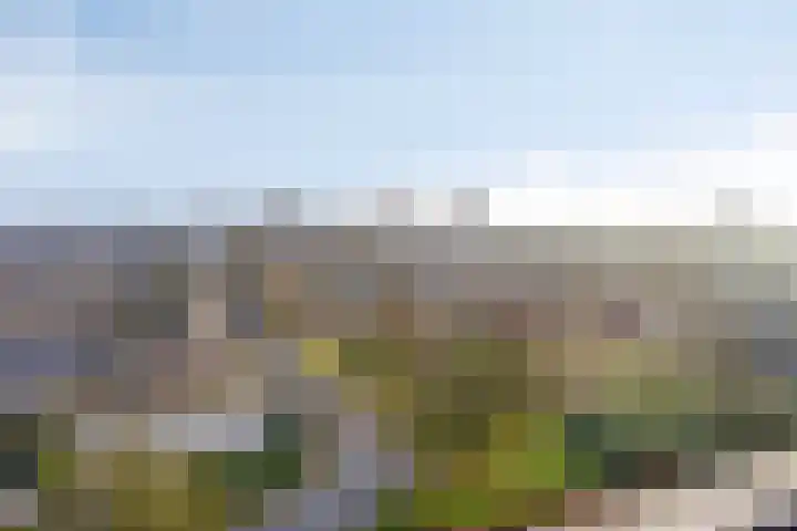 Avondsterlaan 124 Groningen thumbnail 4