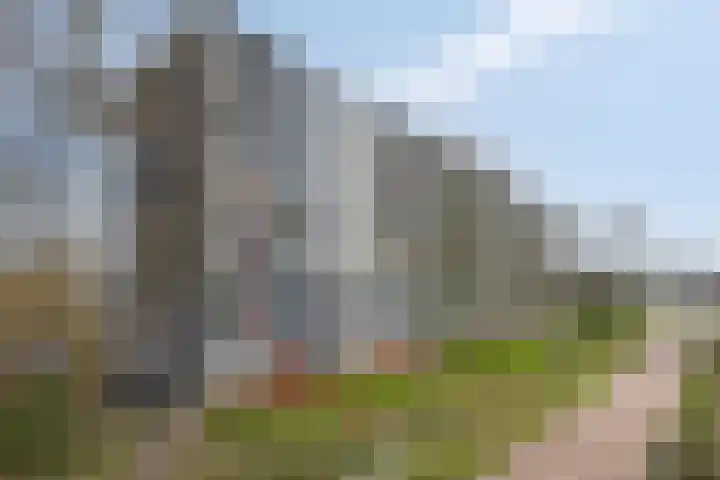 Avondsterlaan 124 Groningen thumbnail 40