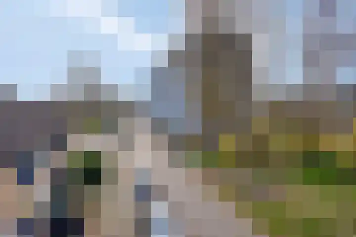 Avondsterlaan 124 Groningen thumbnail 41