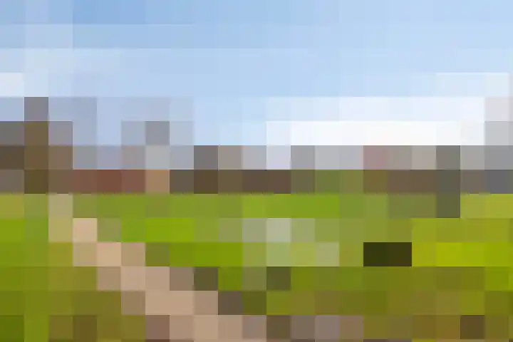 Avondsterlaan 124 Groningen thumbnail 44