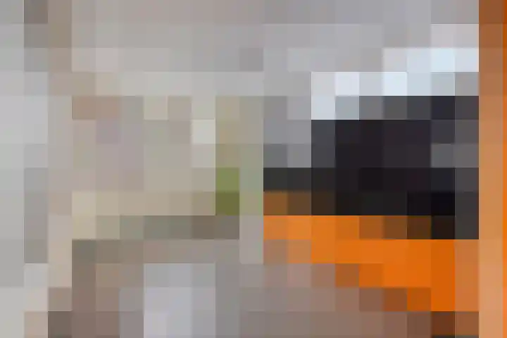 Avondsterlaan 8 Groningen thumbnail 12