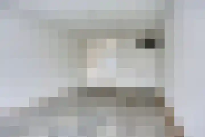 Avondsterlaan 8 Groningen thumbnail 23