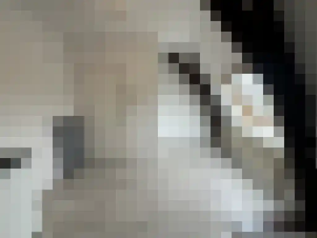 Aweg 11 a 11 Groningen thumbnail 4