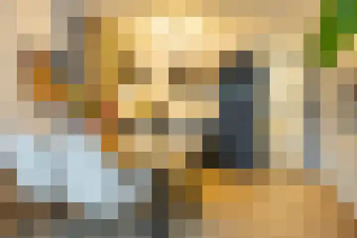 Aweg 15 b 3 Groningen thumbnail 24