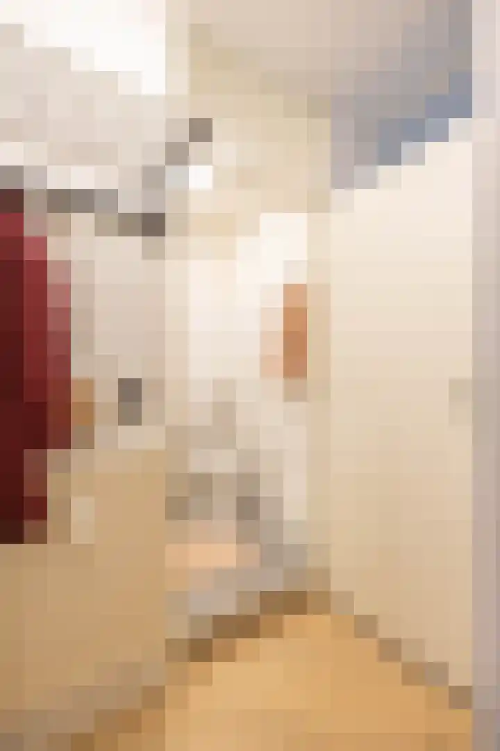 Aweg 15 b 3 Groningen thumbnail 30