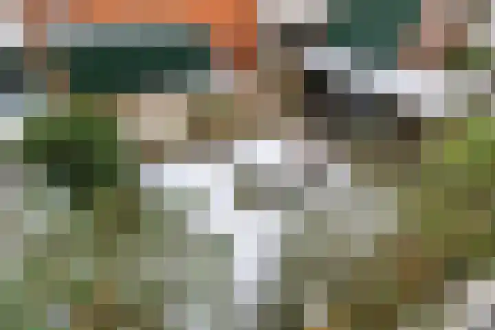 Aweg 15 b 3 Groningen thumbnail 38