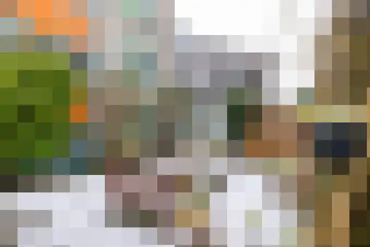 Aweg 15 b 3 Groningen thumbnail 5
