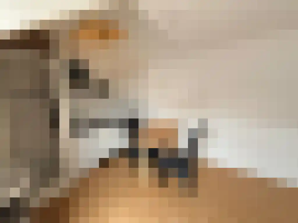 Aweg 16 Groningen thumbnail 4