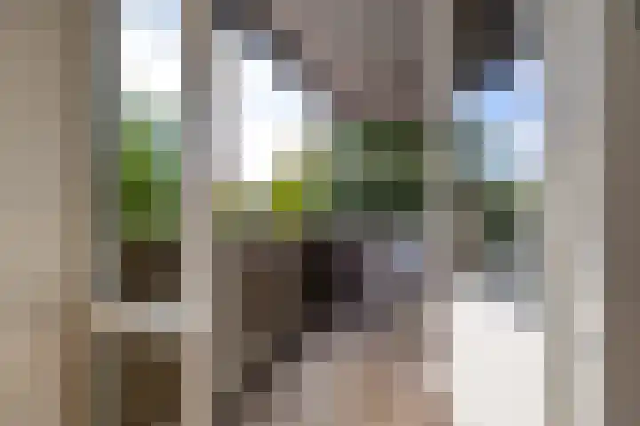 Aweg 17 k Groningen thumbnail 12