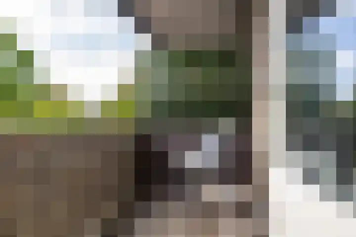 Aweg 17 k Groningen thumbnail 13