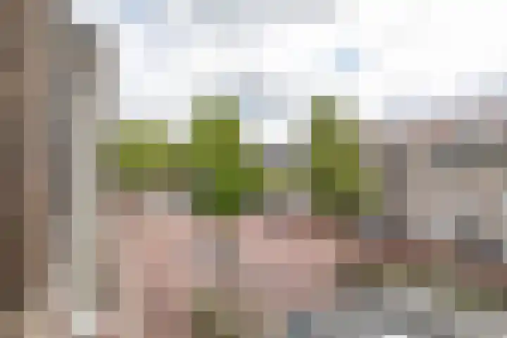 Aweg 17 k Groningen thumbnail 15