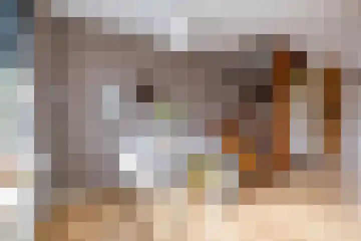 Aweg 17 k Groningen thumbnail 17
