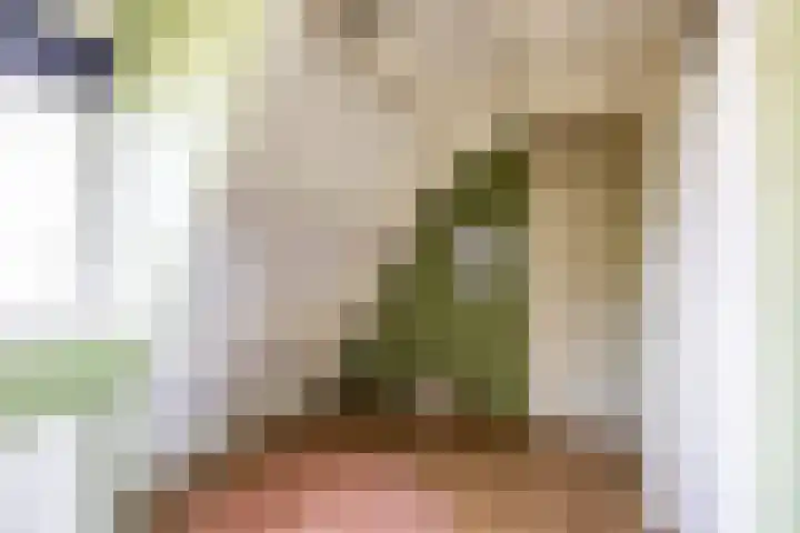 Aweg 17 k Groningen thumbnail 41