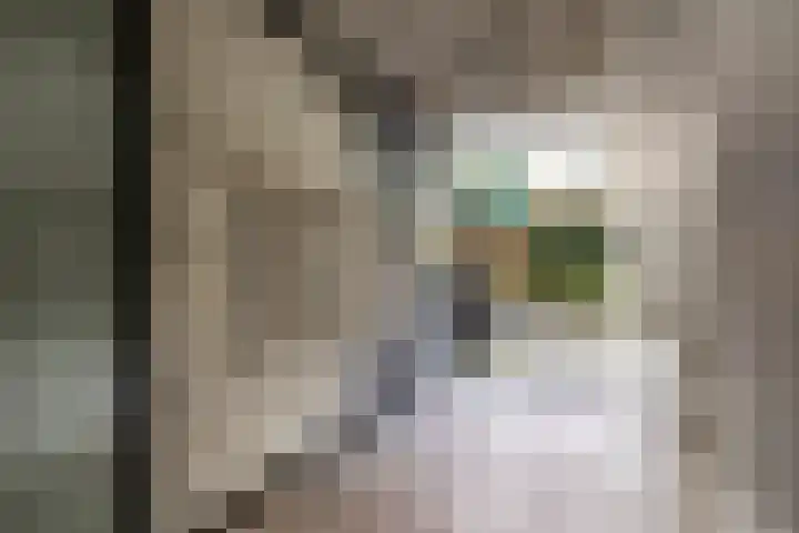 Aweg 17 k Groningen thumbnail 45