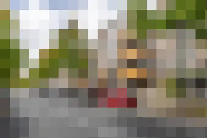 Aweg 17 k Groningen thumbnail 47