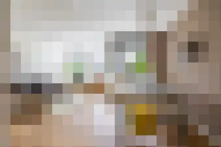 Aweg 17 k Groningen thumbnail 7