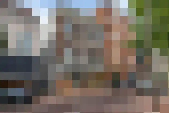 Aweg 6 Groningen