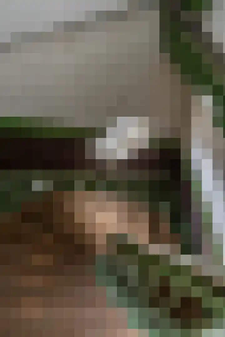 Aweg 6 Groningen thumbnail 32