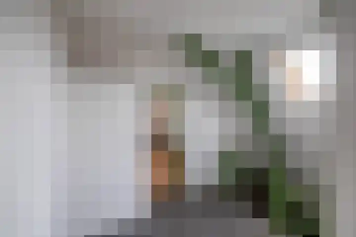 Aweg 6 Groningen thumbnail 37