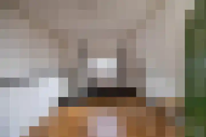 Aweg 6 Groningen thumbnail 38