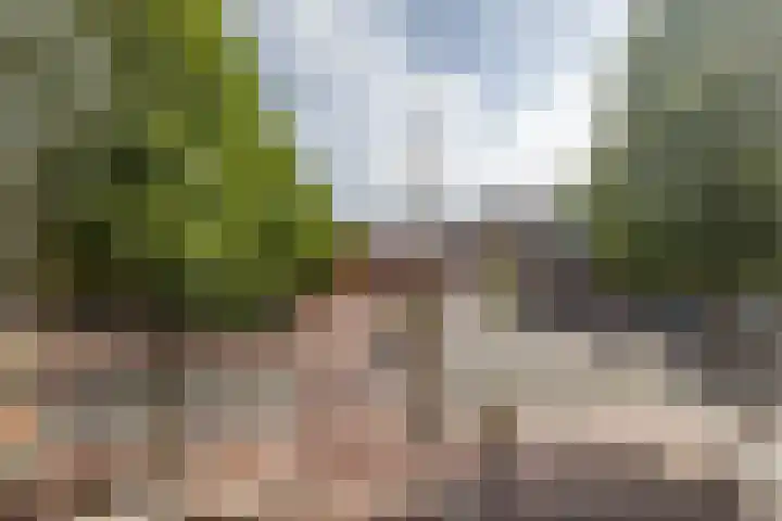Aweg 6 Groningen thumbnail 40