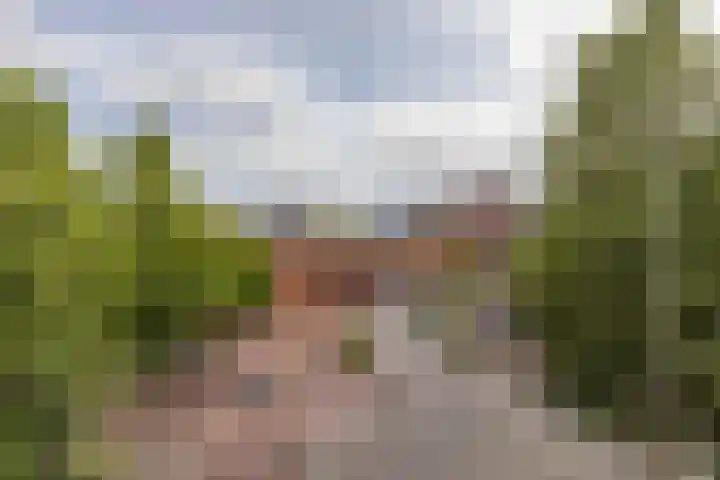 Aweg 6 Groningen thumbnail 41