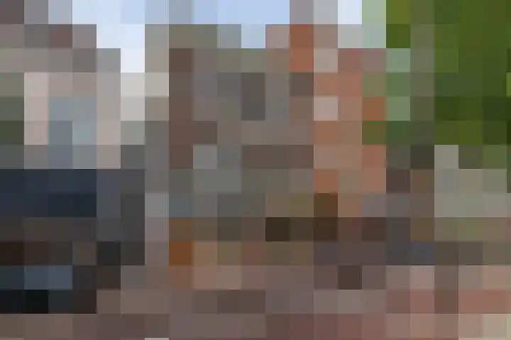 Aweg 6 Groningen thumbnail 42