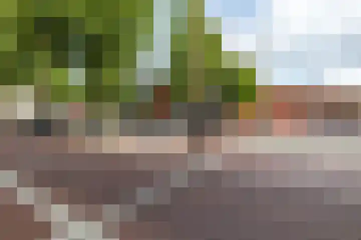 Aweg 6 Groningen thumbnail 45