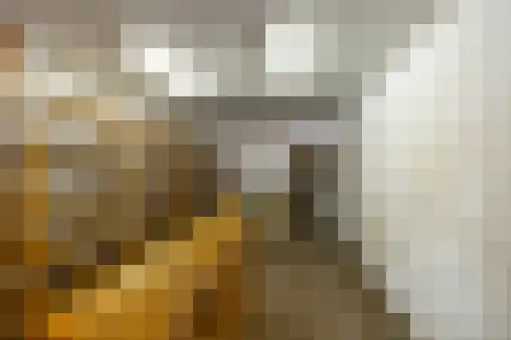 Aweg 6 Groningen thumbnail 6