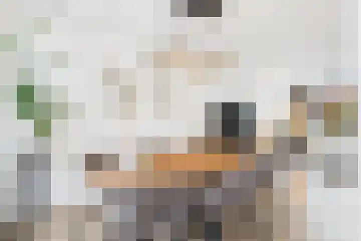 Axelsestraat 102 Zaamslag thumbnail 10