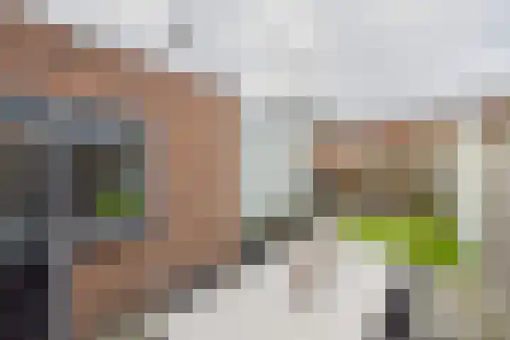 Axelsestraat 102 Zaamslag thumbnail 25
